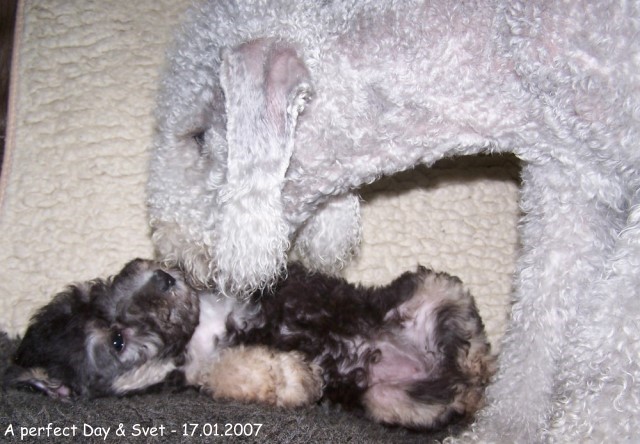 37-Ginza 17012007-2.jpg